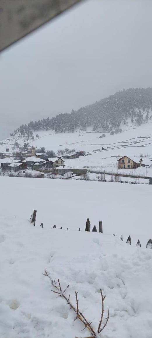 Shorena'S Homestay Tsvirmi Buitenkant foto