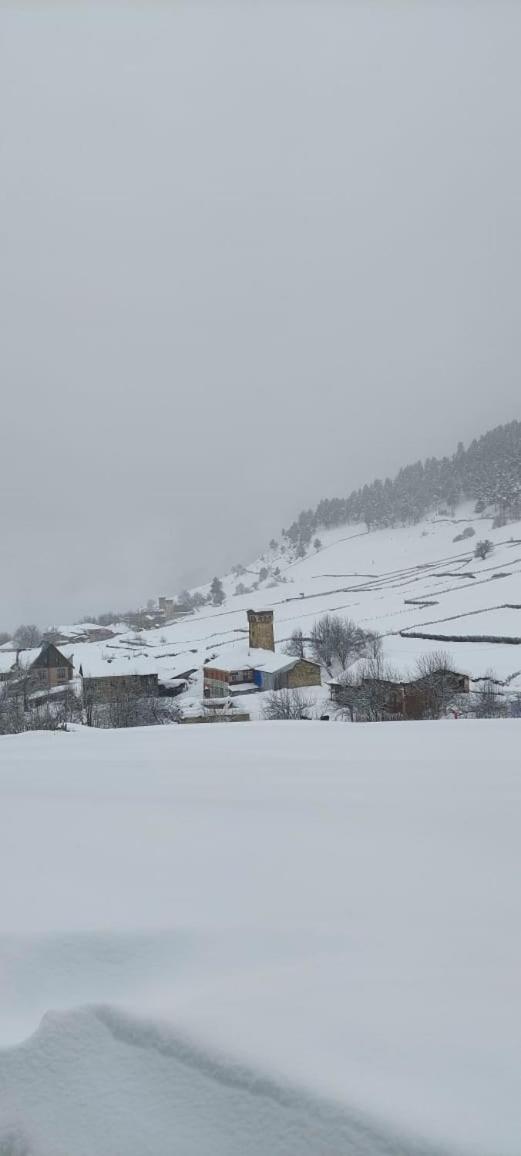 Shorena'S Homestay Tsvirmi Buitenkant foto
