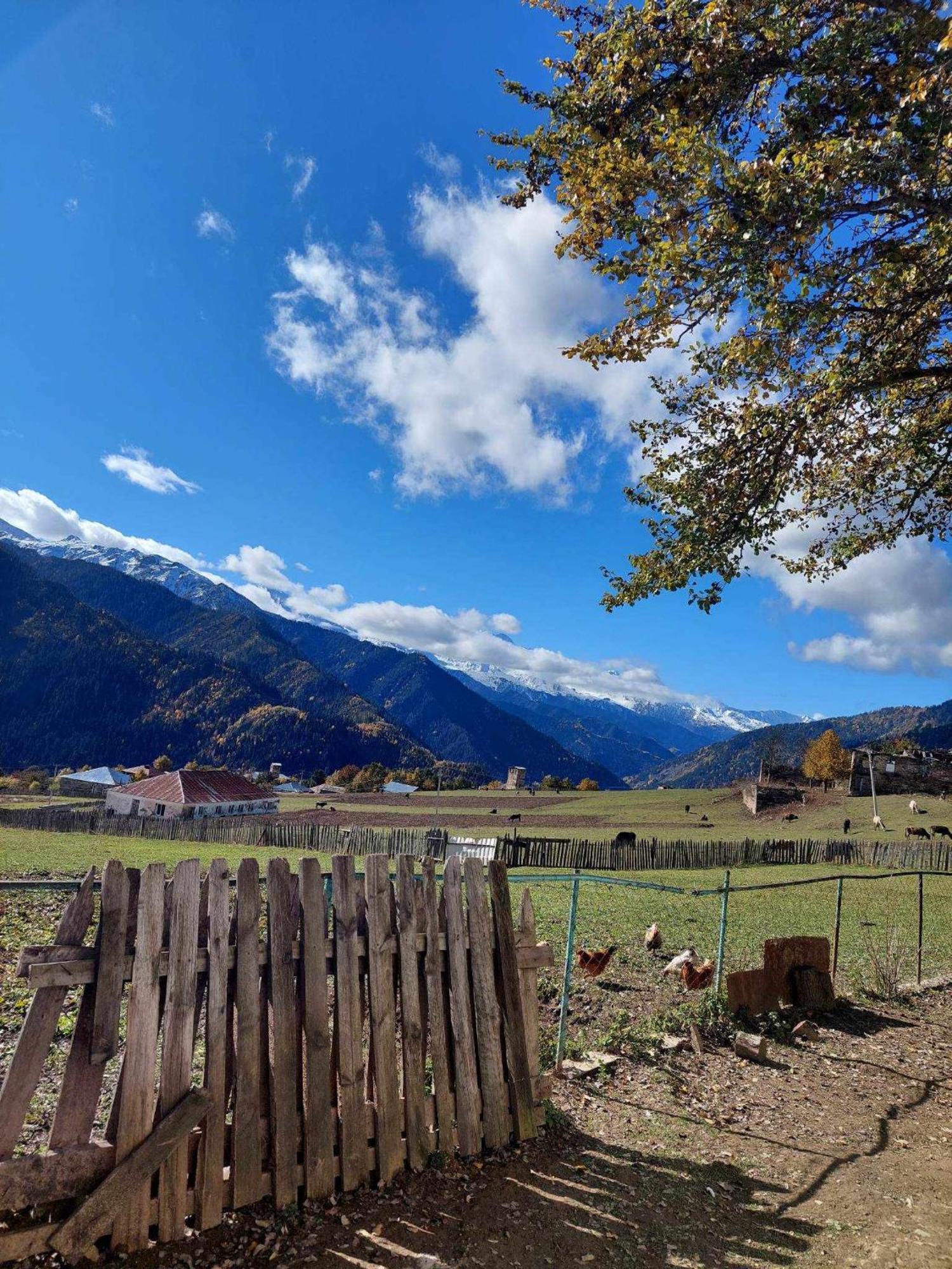 Shorena'S Homestay Tsvirmi Buitenkant foto
