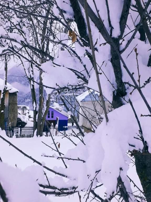 Shorena'S Homestay Tsvirmi Buitenkant foto